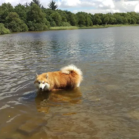 6 Person In Ansager-by Traum * Ansager