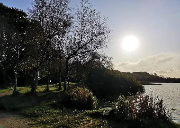 6 Person In Ansager-by Traum Ansager